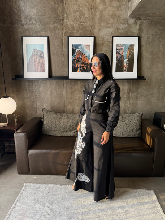 Conjunto Con aplicaciones