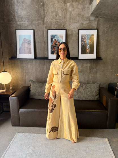 Conjunto Con aplicaciones