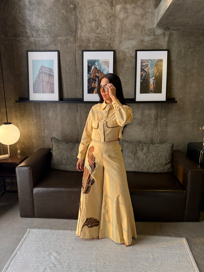 Conjunto Con aplicaciones